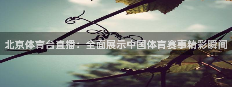北京体育台直播：全面展示中国体育赛事精彩瞬间