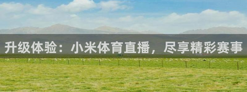 升级体验：小米体育直播，尽享精彩赛事