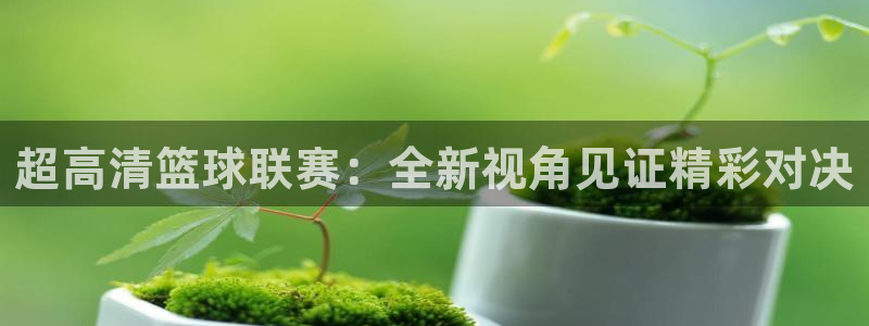 超高清篮球联赛：全新视角见证精彩对决