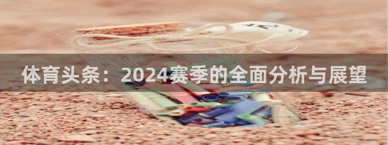 体育头条：2024赛季的全面分析与展望
