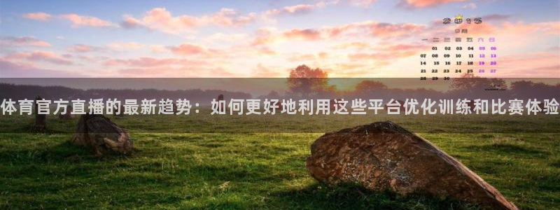 体育官方直播的最新趋势：如何更好地利用这些平台优化训练和比赛体验