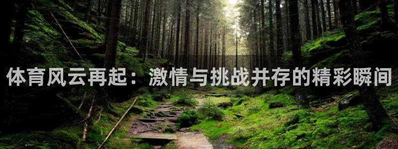 体育风云再起：激情与挑战并存的精彩瞬间